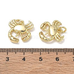 Pendentifs en laiton&nbsp;KK-CBA1AE8-02G