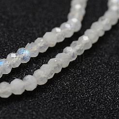 Labradorite naturale fili di perline&nbsp;G-P271-3mm-06