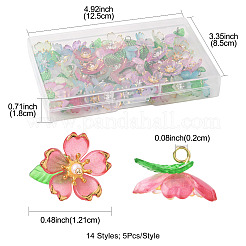 70pcs pendentifs acryliques transparents&nbsp;PALLOY-FS00050