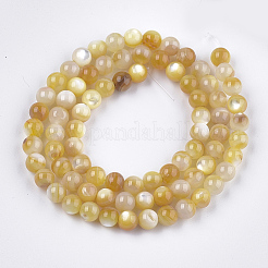 Giallo perline shell fili&nbsp;SHEL-S274-93D