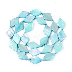 Tinti d'acqua dolce naturale perline shell fili&nbsp;SHEL-T020-13D