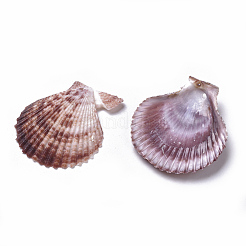 Pendentifs coquille Saint-Jacques&nbsp;SSHEL-TAC0001-01