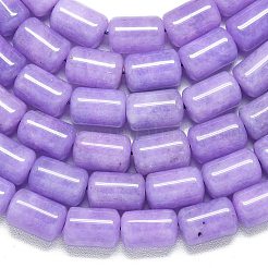 Chapelets de perles en jade de malaisie naturelle&nbsp;G-B165-E13-8x12mm