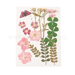 Gepresste Trockenblumen&nbsp;DIY-YWC0001-95