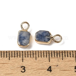 Natürliche blaue Fleck Jaspis Rechteck Charms&nbsp;G-Q169-07G-02