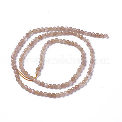 Sunstone naturale fili di perline&nbsp;G-F596-42-3mm