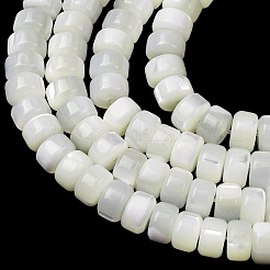 Natürliche Trochidschale / Trochusschalenperlenstränge&nbsp;SH-CBA2978-18B