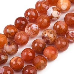 Naturbrand Knistern Achat Perlen Stränge&nbsp;G-G163-A01-04