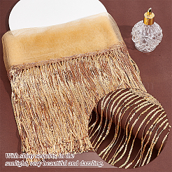 Garniture en dentelle à franges en polyester de 10 mètre&nbsp;DIY-WH0308-499A
