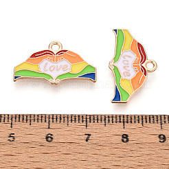 Colgantes de esmalte de aleación de orgullo de color arcoíris&nbsp;ENAM-K067-17