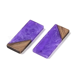 Colgantes de resina & madera&nbsp;WOOD-F015-09B