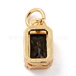 Encantos de circonita cúbica con incrustaciones de latón chapado en oro real de 18k&nbsp;X-ZIRC-L100-075G-07