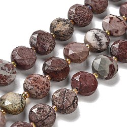 America natural imagen hebras de perlas de jaspe, con abalorios de la semilla, corte hexagonal facetado, plano y redondo, 12~12.5x5~6mm, agujero: 1.2~1.4 mm, aproximamente 27~29 pcs / cadena, 15.55~15.75 pulgada (39.5~40 cm)