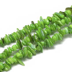 Freshwater Shell Beads Strands, Dyed, Chip, Lime, 8~28x6~8x1~4.5mm, Hole: 1mm, about 340~380pcs/strand, 29.9 inch