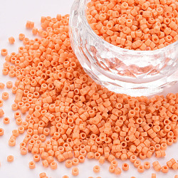 GlasZylinderförmigperlen, Perlen, Backen Farbe, Rundloch, Licht Lachs, 1.5~2x1~2 mm, Bohrung: 0.8 mm, ca. 45000 Stk. / Beutel, etwa 1 Pfund / Beutel