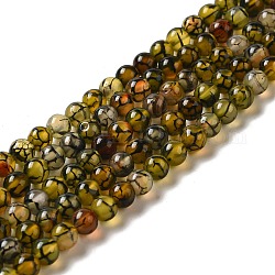 Chapelets de perles veines de dragon en agate naturelle, teinte, ronde, olive, 6mm, Trou: 1mm, Environ 64 pcs/chapelet, 15.5 pouce