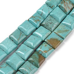 Brins de perles de magnésite naturelle, teinte, perles carrées en tranches plates, turquoise moyen, 9.5~10x9.5~10mm, Trou: 1mm, Environ 15 pcs/chapelet, 5.9 pouce