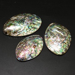 Paua ovale cabochons shell, 57~66x37~46x7~10mm