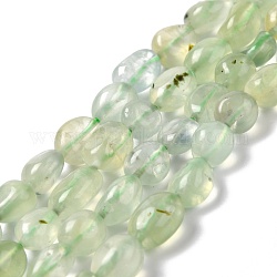 Chapelets de perles en préhnite naturelle, pierre roulée, pépites, Grade a, 7.5~9x7.5~8x3.5~6mm, Trou: 1mm, Environ 44 pcs/chapelet, 15.16~15.75 pouce (38.5~40 cm)