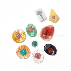 Natural Freshwater Shell Pendant, Mixed Shapes, Random Single Color or Random Mixed Color, 30~72x30~55x3~9mm, Hole: 2~3mm