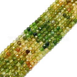 Chapelets de perles en tourmaline naturelle, facette, ronde, 3mm, Trou: 0.7mm, Environ 132 pcs/chapelet, 15.16''~15.55'' (38.5~39.5 cm)
