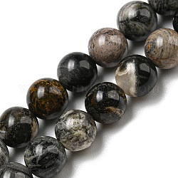 Cuentas de jaspe de hoja de plata negro natural hebras, redondo, 6mm, agujero: 0.6 mm, aproximamente 65 pcs / cadena, 15.59~15.67'' (39.6~39.8 cm)