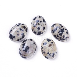 Dalmatiner Jaspis Natur Cabochons, Oval, 14~14.5x10~10.5x4~5 mm