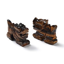 Figurine di drago curativo intagliate in occhio di tigre naturale, decorazioni per display in pietra energetica reiki, 52~55x18x37.5mm