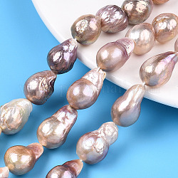 Fili di perle di keshi di perle barocche naturali, perla d'acqua dolce coltivata, patata, porpora, 13~28x10.5~14mm, Foro: 0.6 mm, circa 18~26pcs/filo, 14.96 pollice ~ 15.83 pollici (38~40.2 cm)