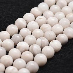 Pazzi fili agata perline naturali, tondo, bianco, 6mm, Foro: 1 mm, circa 61pcs/filo, 14.9 pollice~15.1 pollici