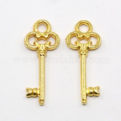Tibetan Style Alloy Pendants, Skeleton Key, Cadmium Free & Nickel Free & Lead Free, Golden, 21x8x2mm, Hole: 2mm