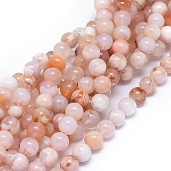 Chapelets de perles en agate naturelle de fleurs de cerisier, ronde, 8mm, Trou: 0.8mm, Environ 48 pcs/chapelet, 15.3 pouce (39 cm)