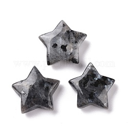 Perles naturelles de labradorite, sans trou, étoiles du nord, 24x25x8mm