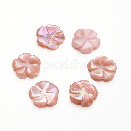 Plum Blossom Flower Pink Shell Cabochons SSHEL-I013-37-1