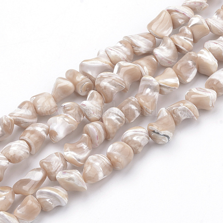 Natural Trochid Shell/Trochus Shell Beads Strands SSHEL-Q301-01C-1