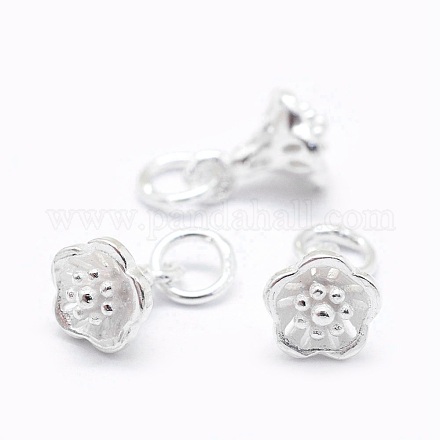 Sterling Silver Charms STER-I016-061S-1