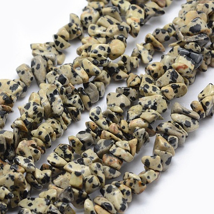 Chapelets de perles en jaspe dalmatien naturelle G-P332-20-1