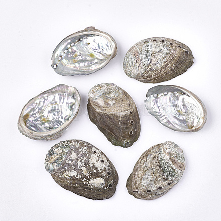 Abalone shell / paua shell beads SSHEL-S258-38-1