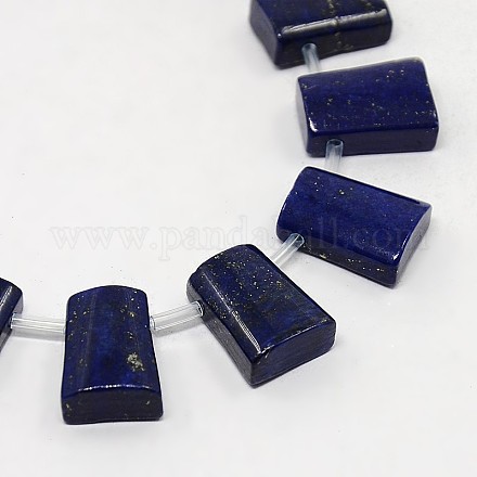 Natural Lapis Lazuli Beads Strands G-J238-01-1