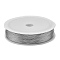 Baking Paint Iron Wire, Round, Silver, 0.3mm, about 328.08 Feet(100m)/Roll