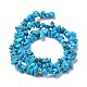 Natural Magnesite Beads Strands TURQ-P001-02A-03-3