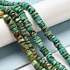 Natural Turquoise Beads Strands G-P506-05A-2