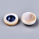Perles de coquillages naturels d'eau douce SHEL-T018-09A-04-2