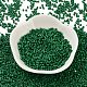 Baking Paint Glass Seed Beads X-SEED-S042-05B-66-2