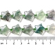 Natural Fluorite Beads Strands G-NH0005-012-5