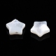 Natural White Shell Beads SSHEL-N032-54B-3