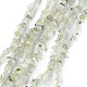 Chapelets de perles en préhnite naturelle G-G0003-B12-1