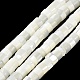 Brins de perles de coquillages naturels de troca BSHE-E030-09B-01-2