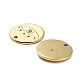 Placage ionique (ip) 304 pendentifs en acier inoxydable STAS-Q254-26G-2