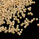 Perles miyuki delica X-SEED-R015-1561-1